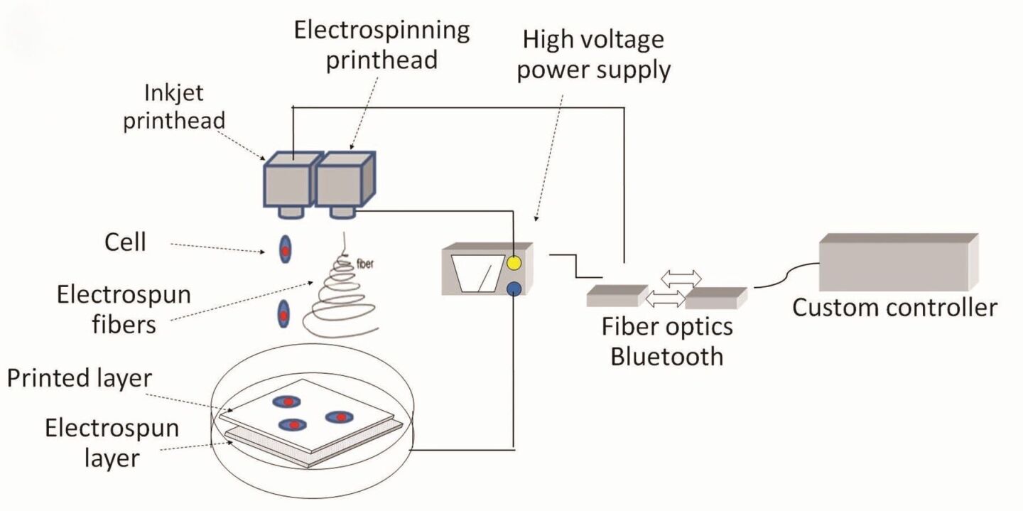 A diagram of the cartilage-printing process