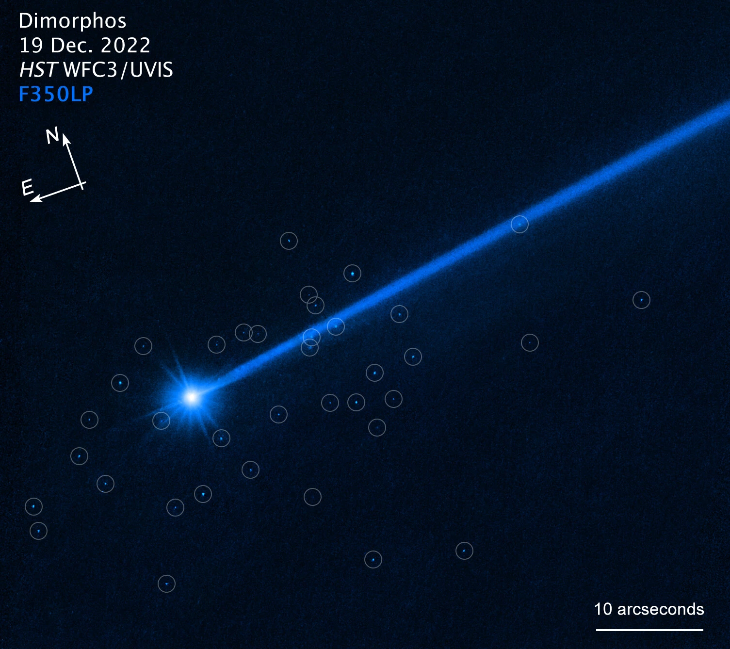 This NASA/ESA Hubble Space Telescope image of the asteroid Dimorphos shows the dislodged boulders in circles