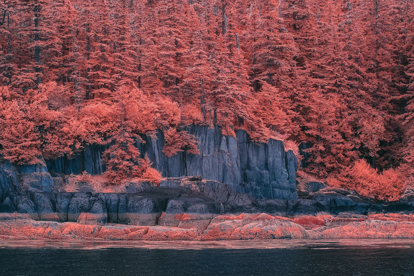 InfraMunk vs Tracy Arm Fjord is a project from photographer Bradley G Munkowitz documenting a fjord in Alaska using a modified FujiFilm X-T1 in a variety of narrow infrared spectrums, resulting in a variety of stunningly unique images (Credit: Bradley G Munkowitz / CC BY-NC-ND 4.0)