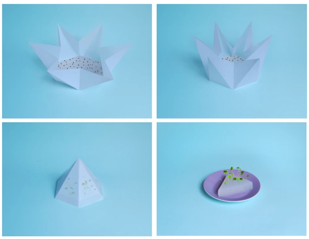 Made out of a translucent waterproof material, when folded flat the Microgarden greenhouse resembles a hexagonal star (Photo Merav Maroody)