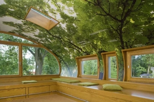 World of Living–park treehouse - interior