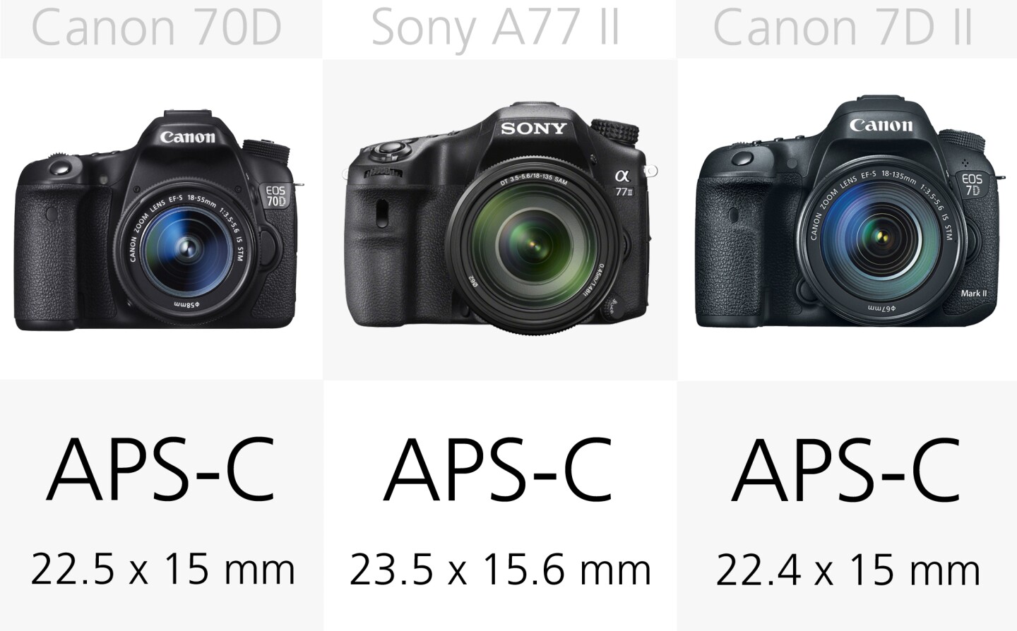 All of these DSLRs use APS-C size sensors