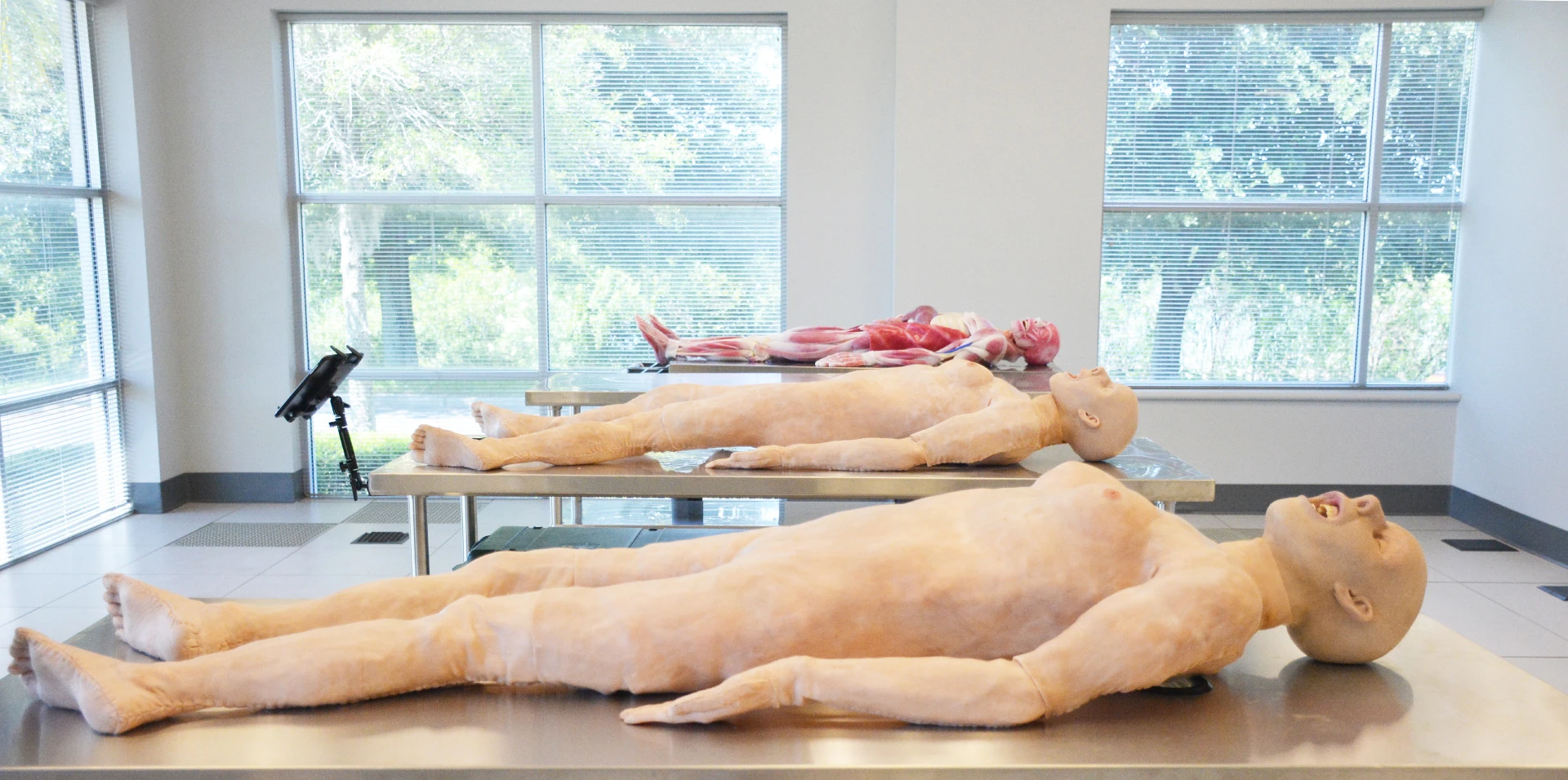 The SynDaver Patient has a removable skin