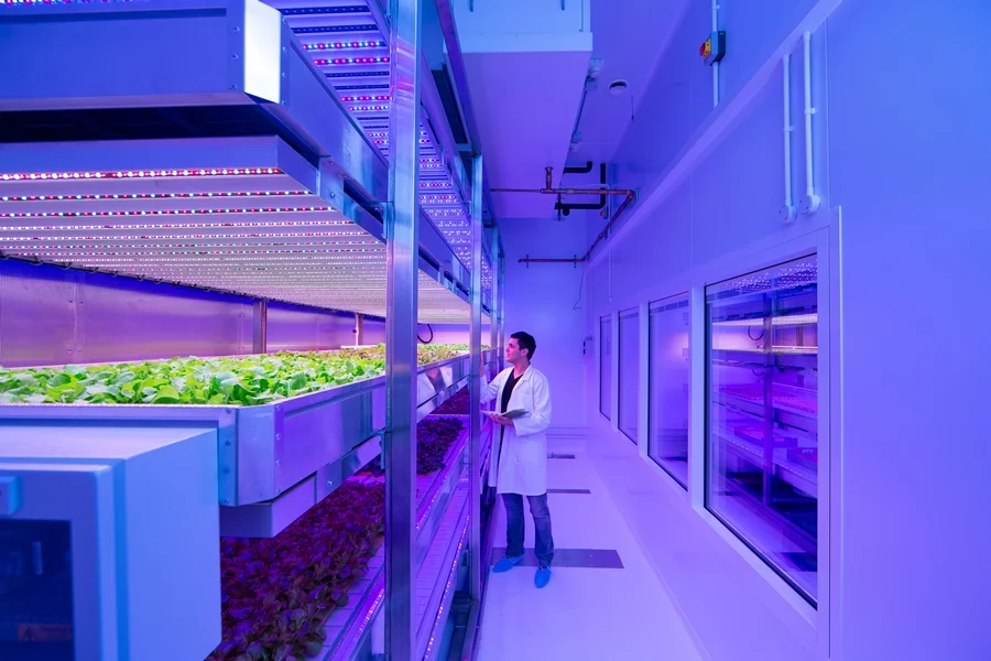 The Philips GrowWise City Farming research center is a clean and sterile environment and is totally closed to natural light and air, making the growing conditions fully controllable