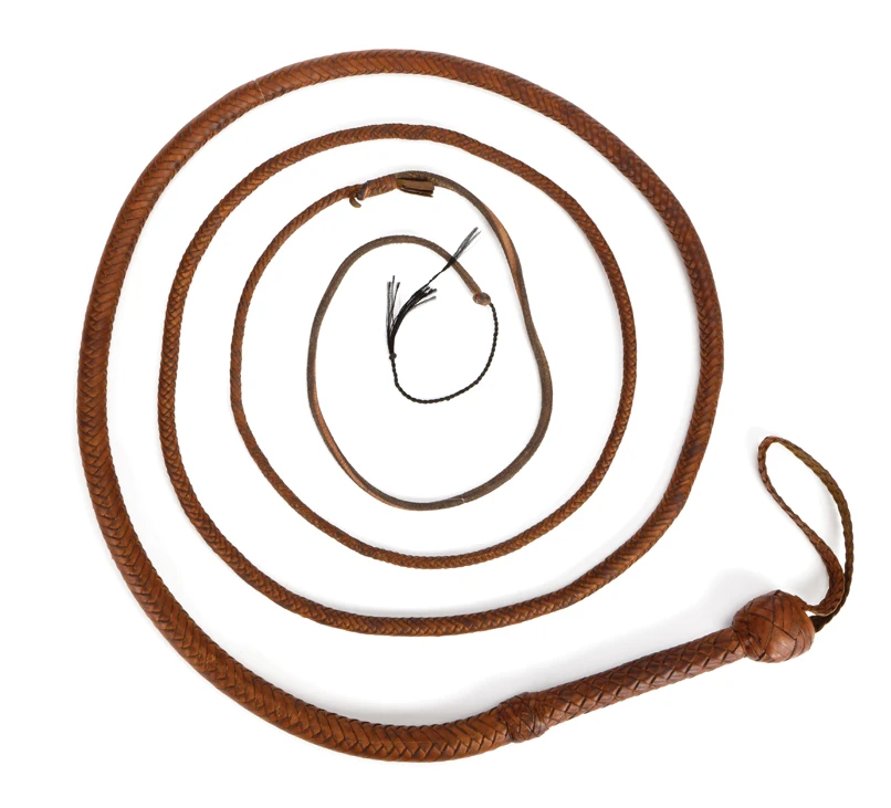 Indiana Jones' signature bull whip sold for $204,000