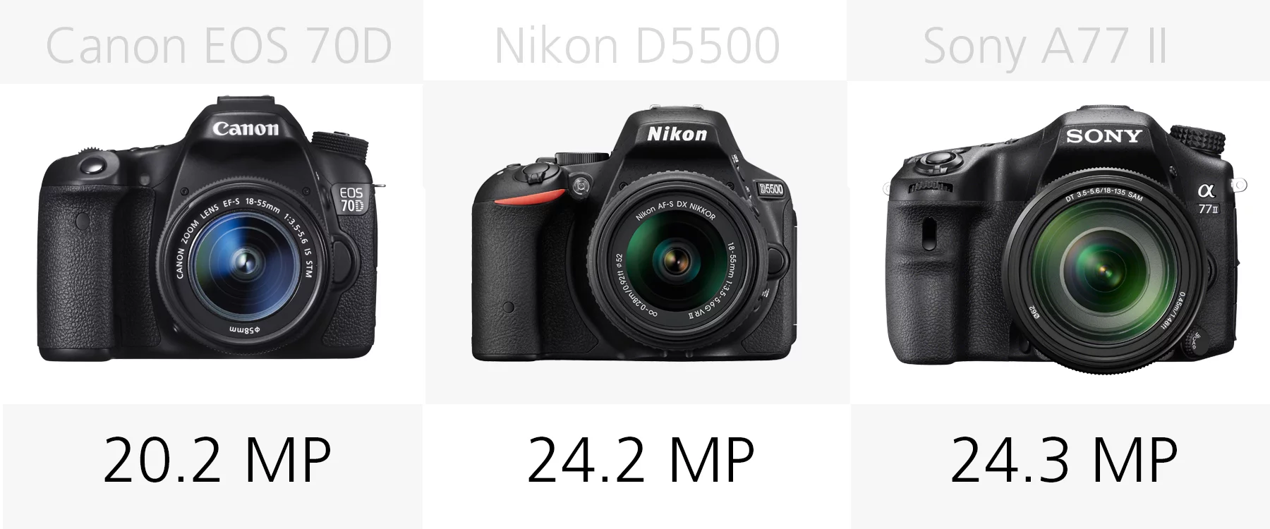 Megapixels comparison (Canon EOS 70D, Nikon D5500, Sony A77 II)