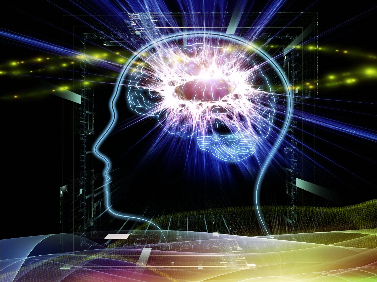 Neuroscientists claim to have found the first evidence of a "higher" state of consciousness