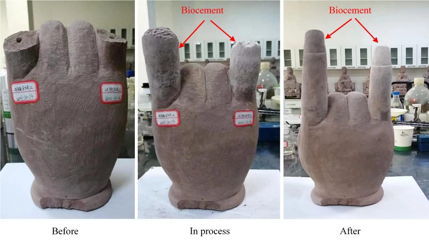An ancient Buddha hand statue, before and after being repaired with the biocement
