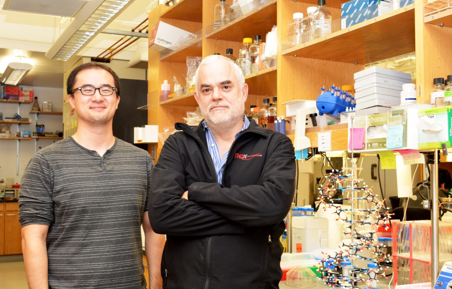 Professor Floyd Romesberg (right) and Graduate Student Yorke Zhang led the new study at The Scripps Research Institute