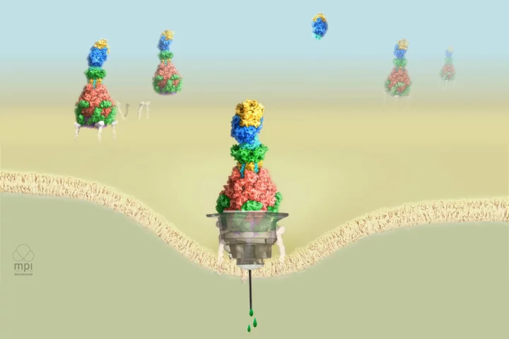 An artist's rendition of bacterial nano-syringes, injecting toxins into host cells