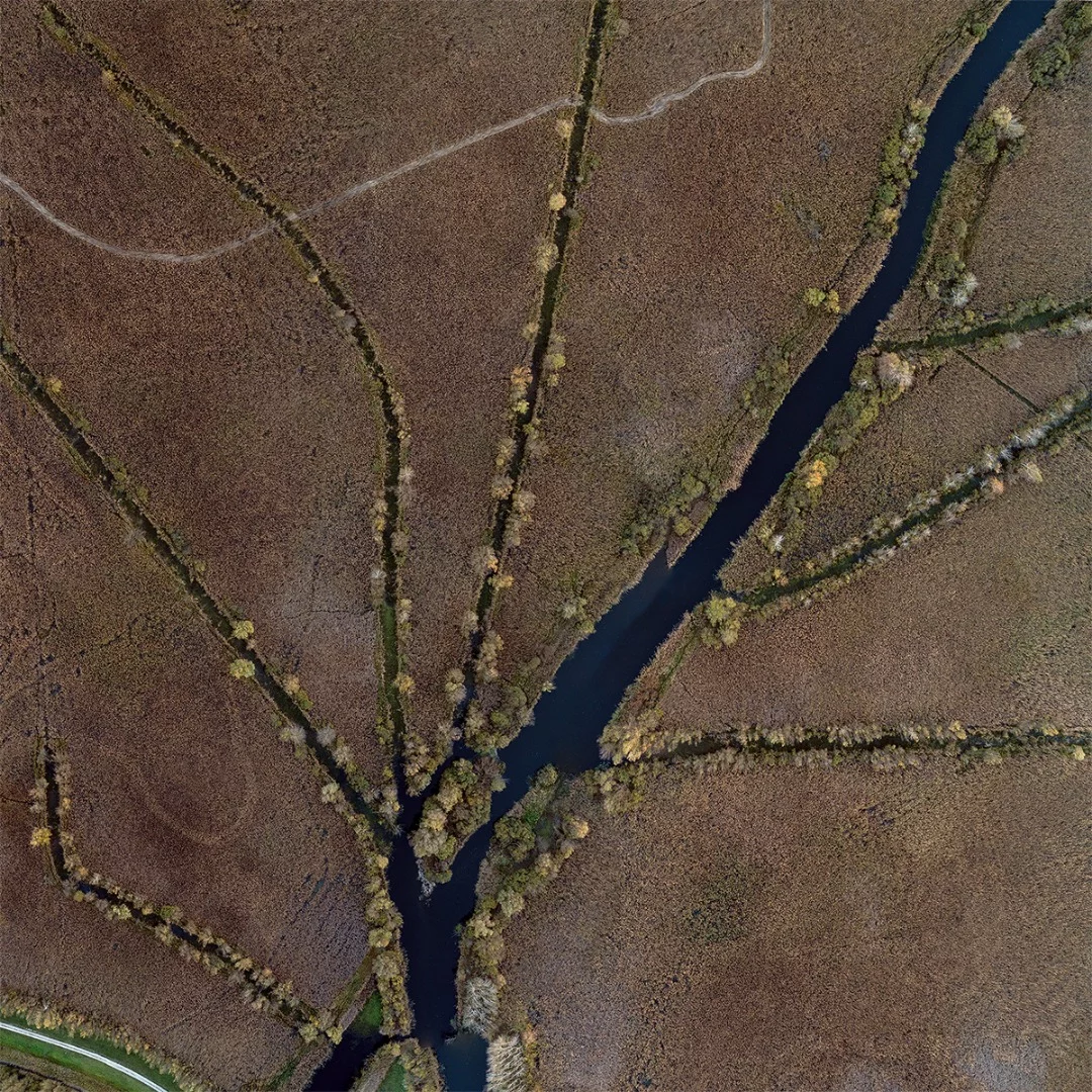 Network of channels in estuary of River Zala, Hungary