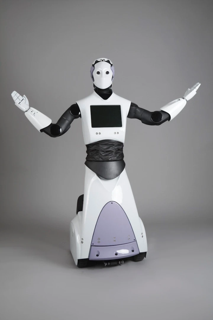 The original REEM robot from PAL Robotics as unveiled back in 2011