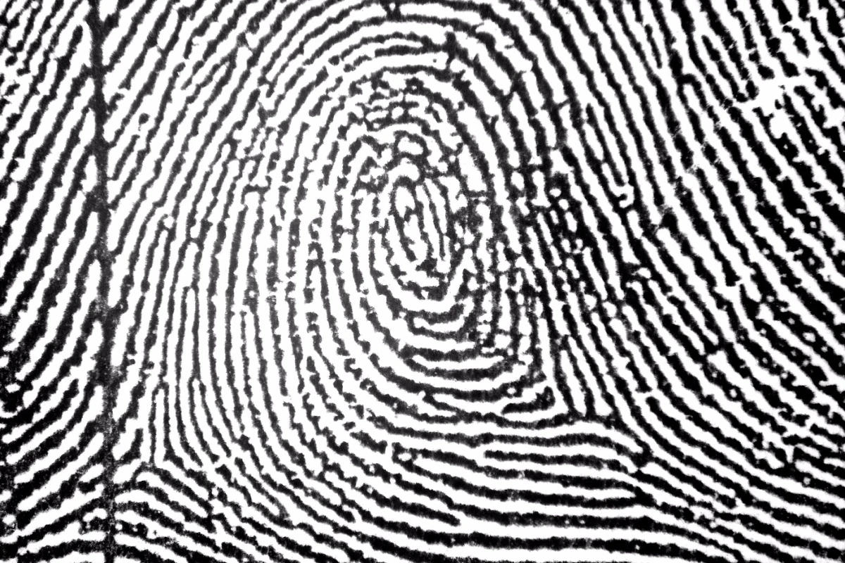 The new algorithm helps read smudged or incomplete fingerprints