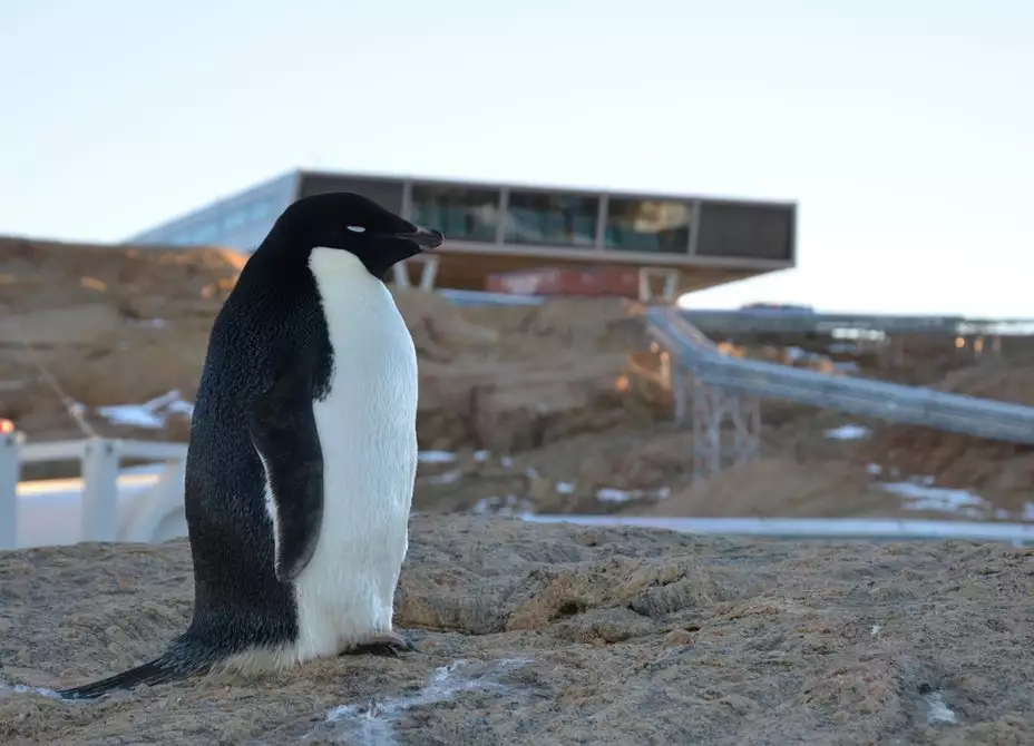 The Bharathi Indian Polar Station is located on a peninsula in the Larsmann Hills section of northeast Antarctica