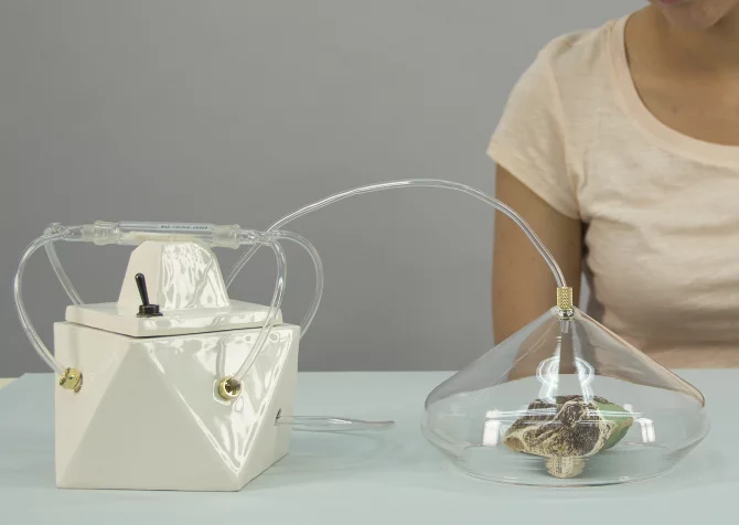 Madeleine in the process of capturing the smell of a source object