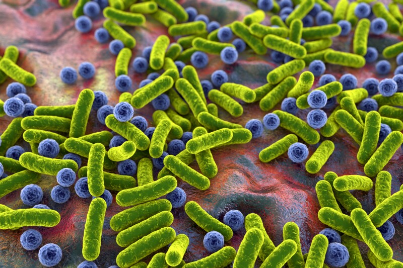 Este estudo destacou a ligação entre o microbioma intestinal e o ouvido
Depositphotos