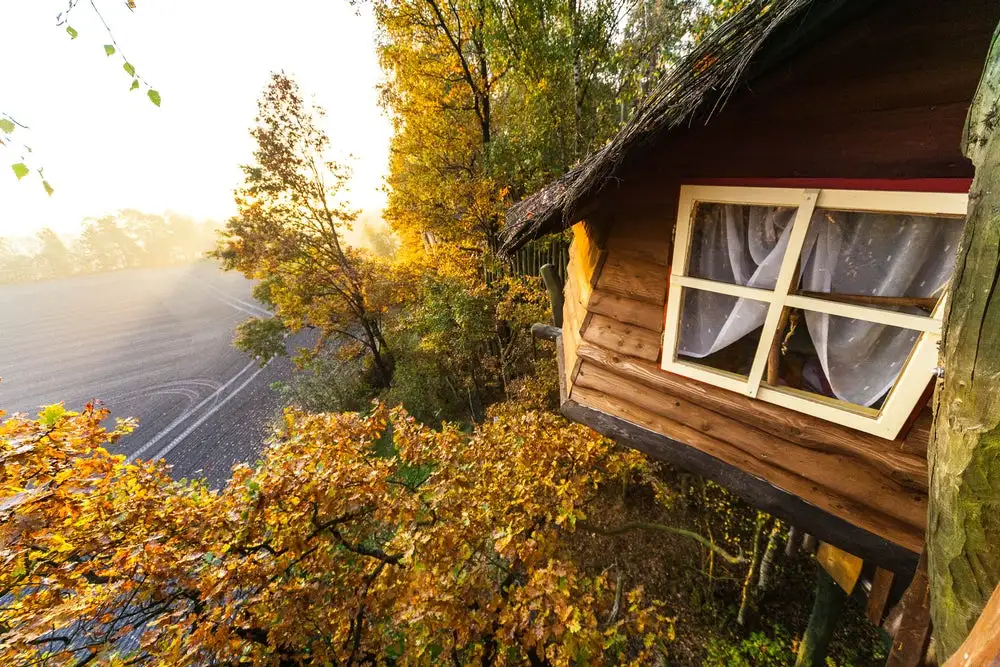 Dawn view from the balcony of Kulturinsel Einsiedel, a bizarre treehouse hotel in Germany