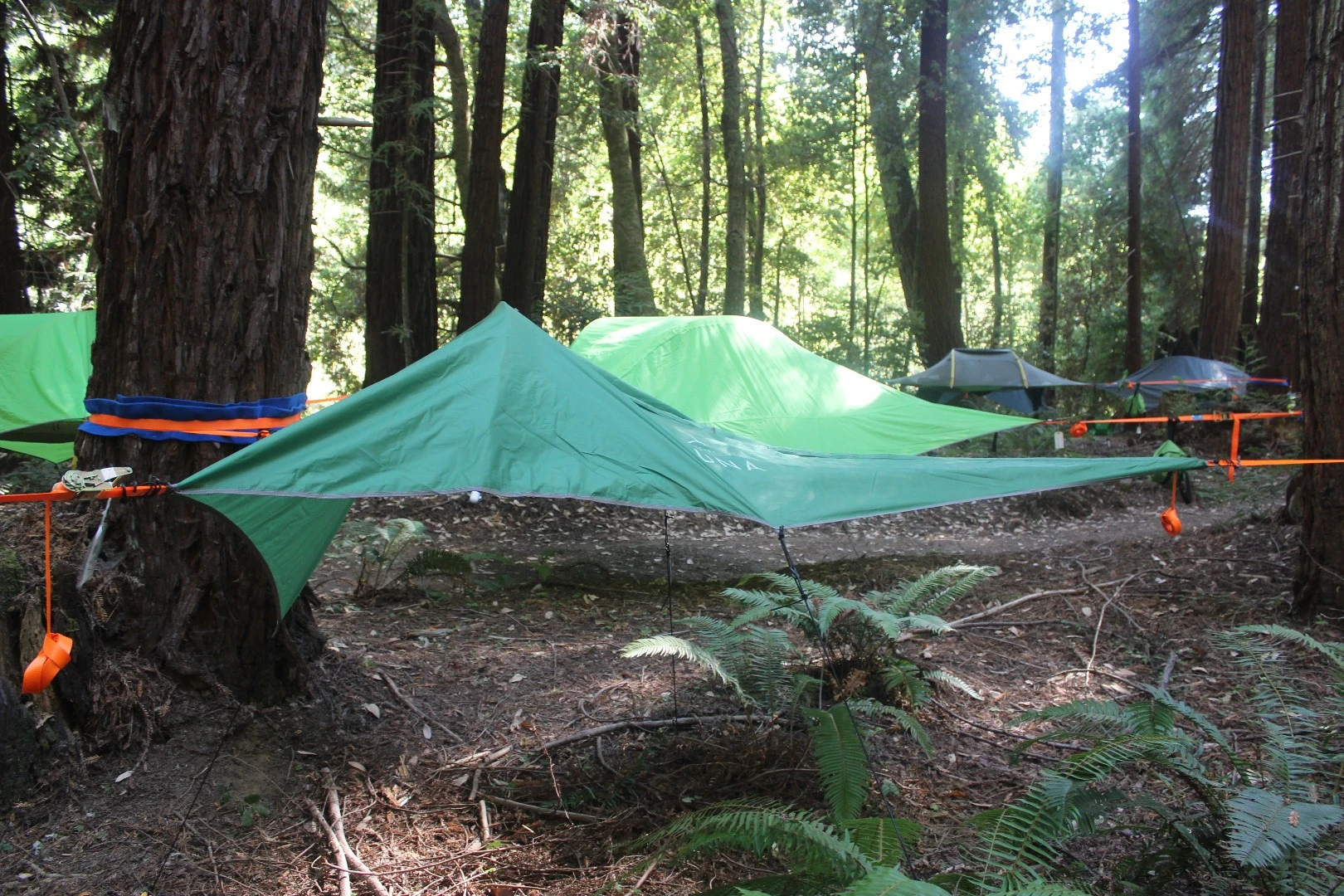 Despite what some of its advertising suggests, Tentsile recommends hanging its tents no higher than 4 feet off the ground