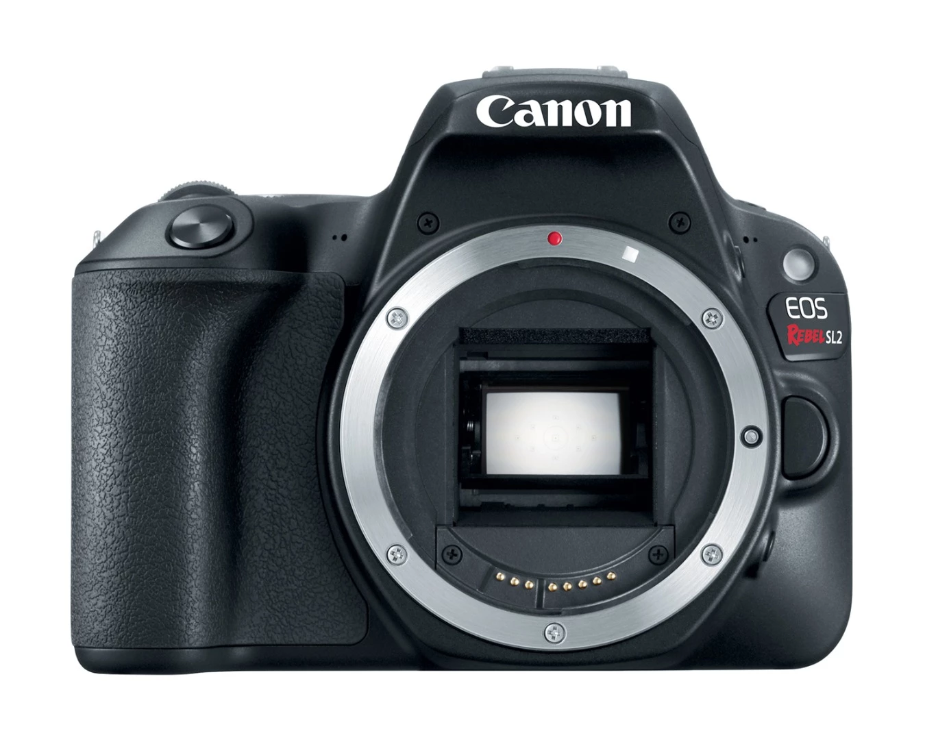 The APS-C sensor on the Rebel SL2
