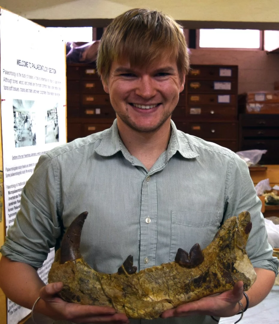 Dr. Matthew Borths holds up the huge jawbone of Simbakubwa Kutokaafrika