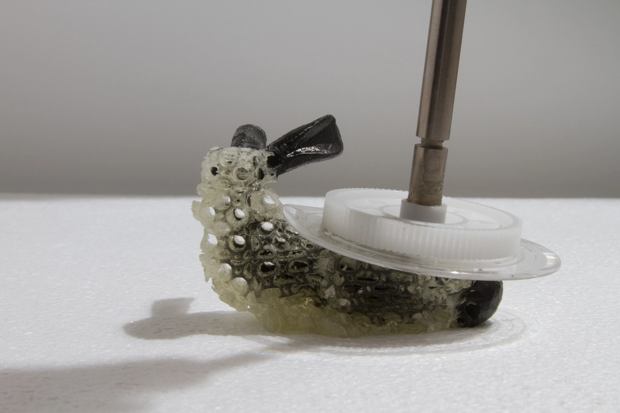 Squishing the 3D printed bunny (Photo: MIT Computational Fabrication Group)