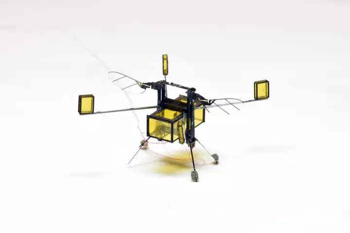 The latest version of RoboBee, sporting its gas collection chamber and outriggers