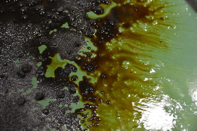 Researchers found that the sawdust they modified were able to soak up the oil on the simulated slushy water