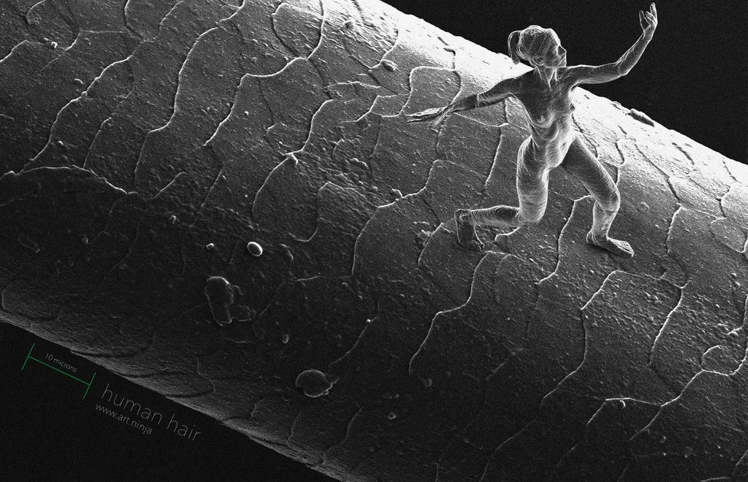 Artist Jonty Hurwitz has created sculptures so tiny that they can only be seen using an electron microscope (Photo: Jonty Hurwitz)