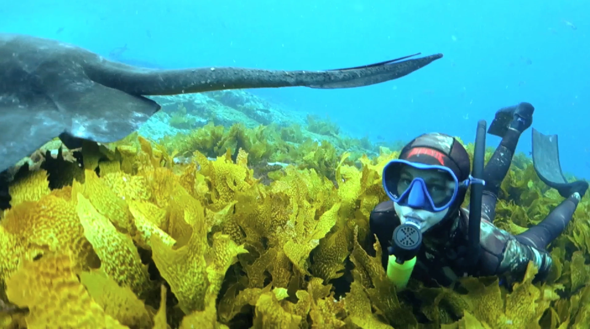 The Scorkl is a lightweight compact breathing device that enables you to breathe underwater for up to 10 minutes. If you don't have a compressor to recharge the $200 Scorkl, there's a $200 high pressure pump so you can fill it yourself.