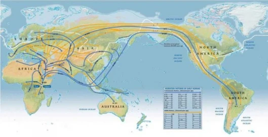 Map of early human migration patterns - click for larger view .Credit: National Geographic Maps