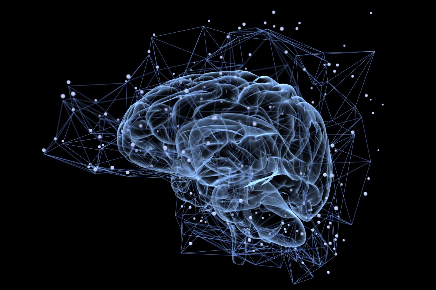 New Compound Combats The Metal Ions And Plaques Linked To Alzheimer S