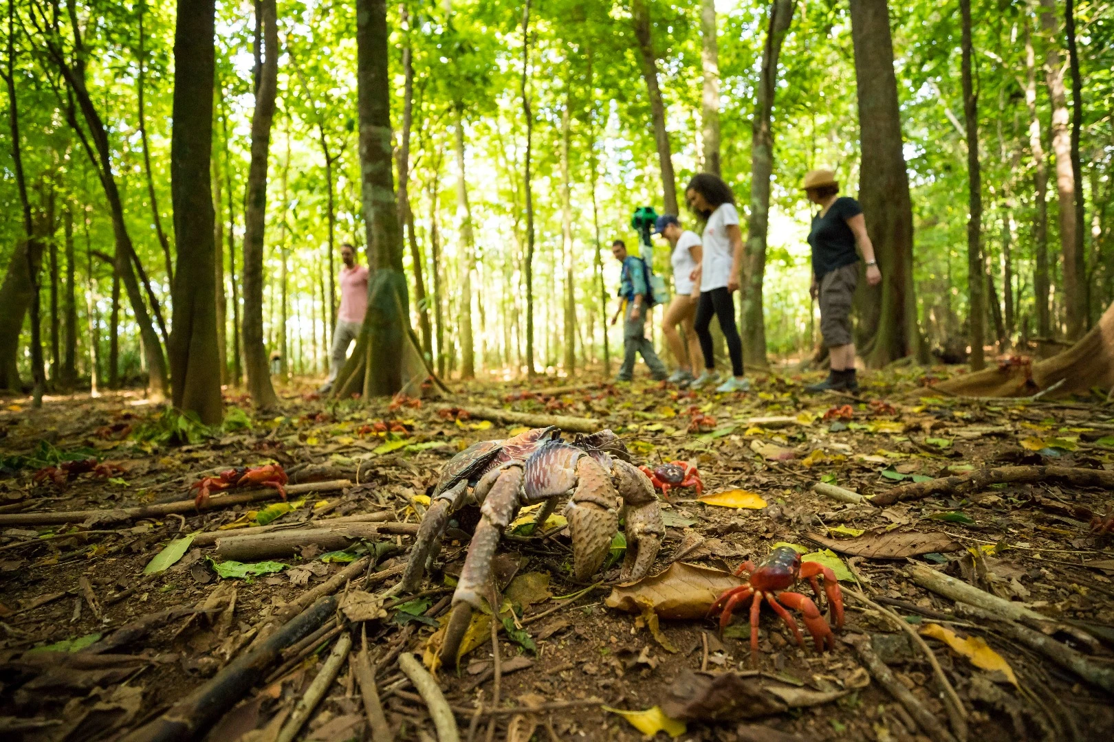 From the comfort of our own homes Google Street View can give us a look at some of nature's most spectacular sights