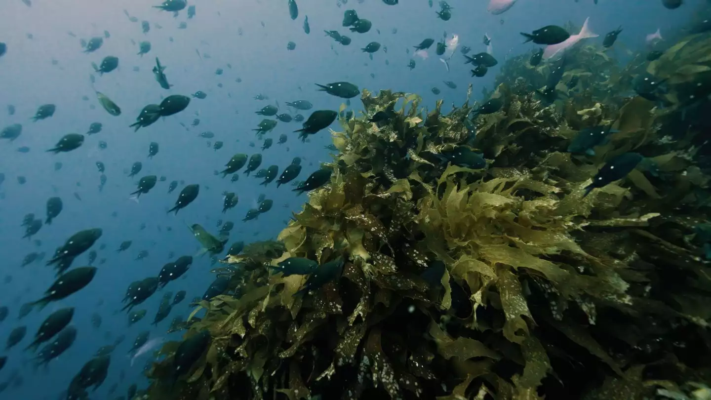 An example of a photo captured by the Luna