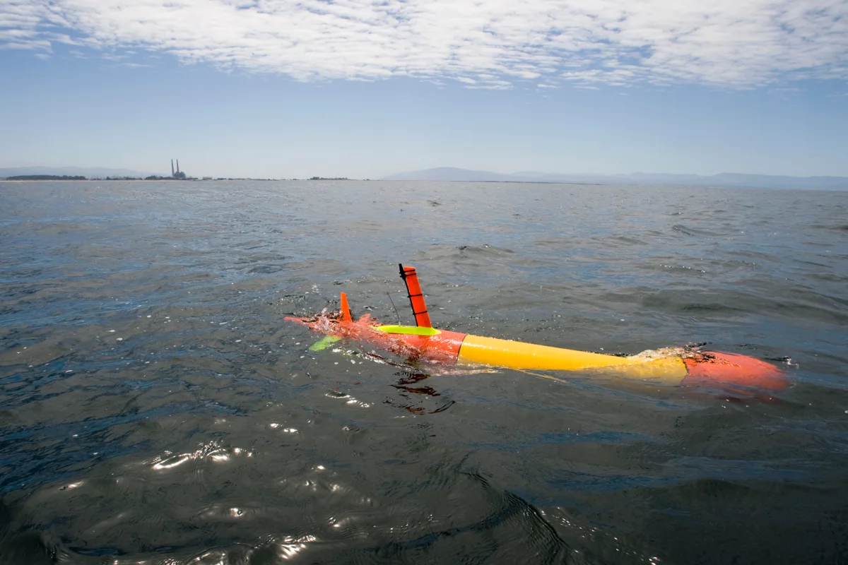 Tethys floating at the sea surface in Monterey Bay (Image: Todd Walsh copyright 2010 MBARI)