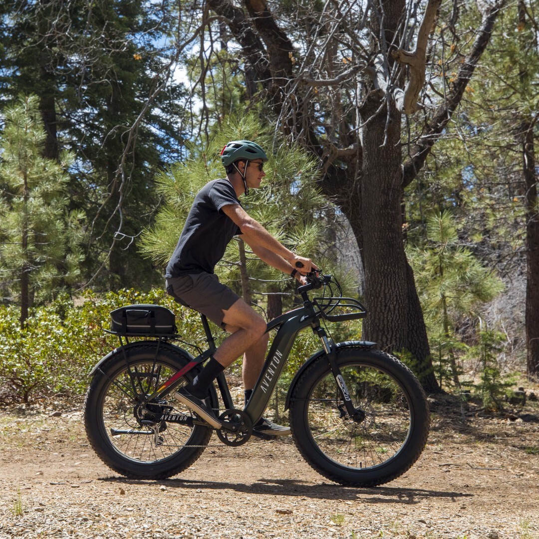 Fattired Aventure ebike is ready to throttle or assist on road or dirt
