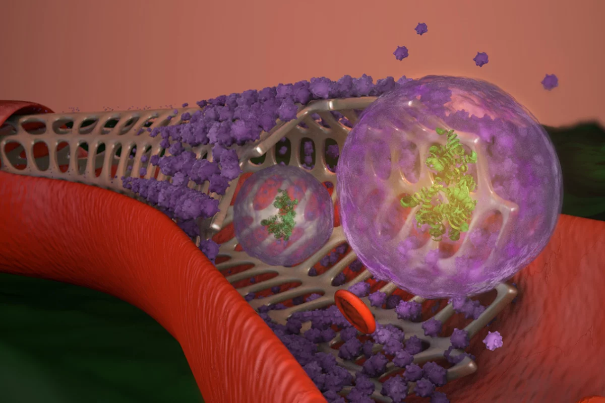 An artist's impression of the new exosome-eluding stent, which can promote healing while preventing inflammatory responses