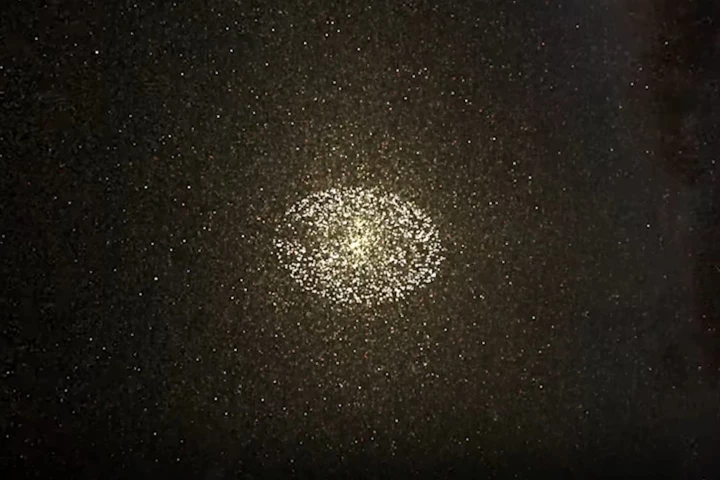 A visualization of the stars from which aliens could watch Earth passing across the surface of the Sun