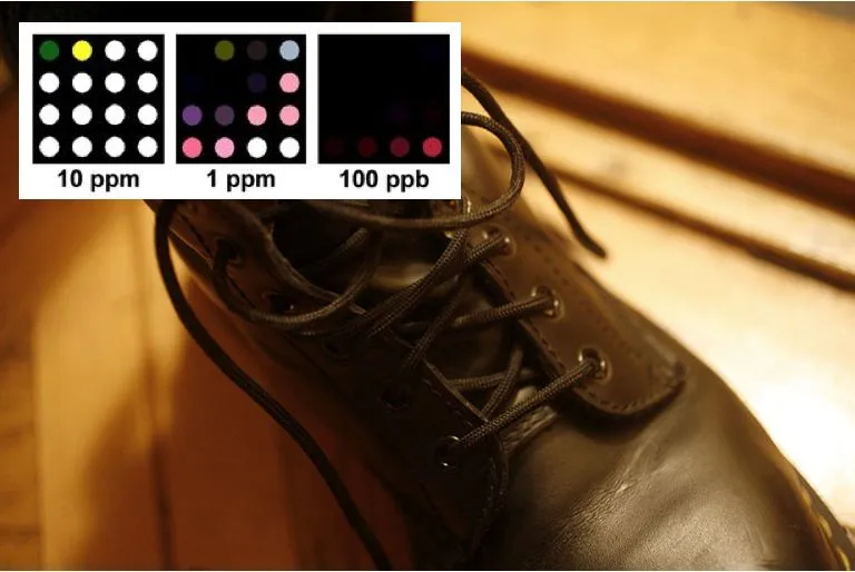 The colorimetric sensor array (Shoe photo: Rama)
