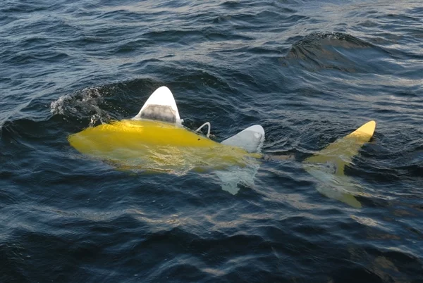 The Shoal Consortium's robo-fish could provide round the clock protection against harmful pollutants by patrolling in teams.