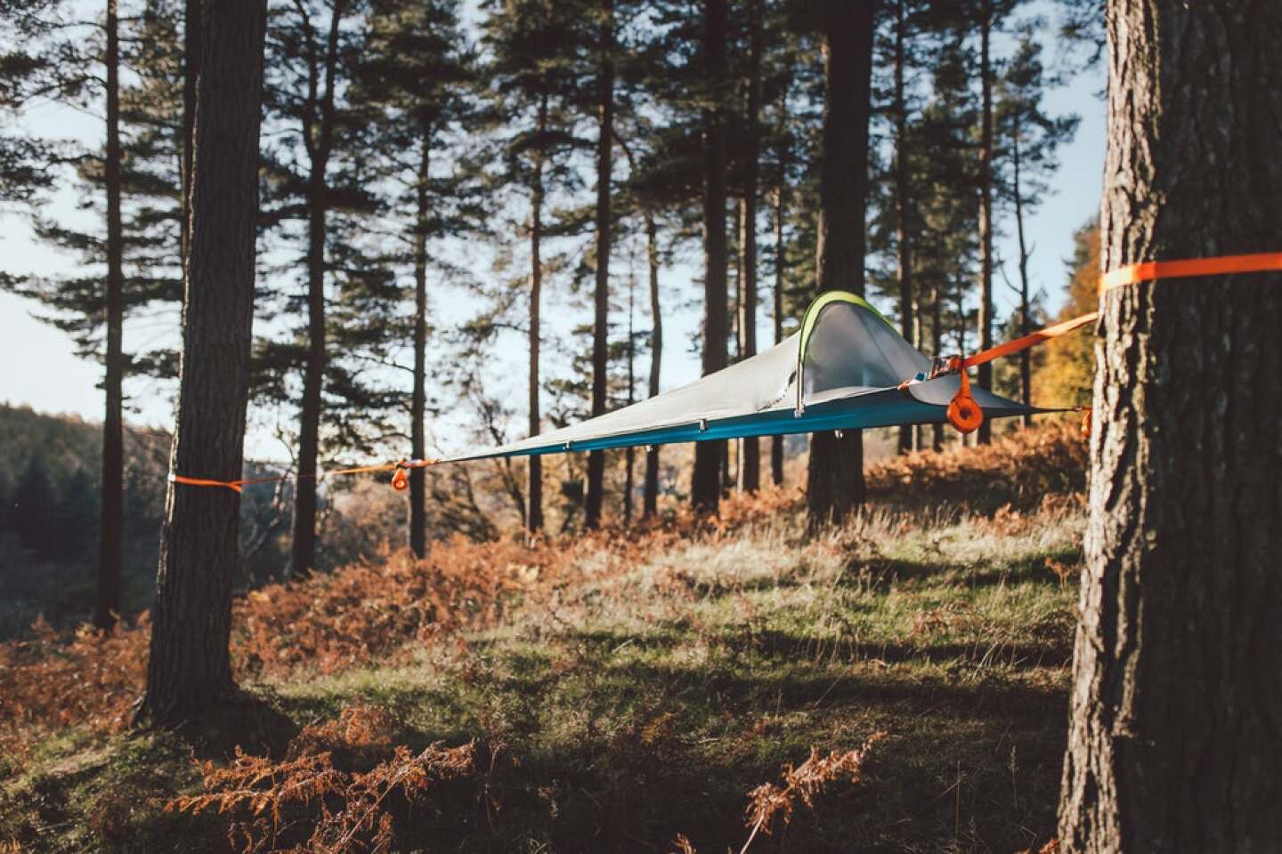 Review Sleeping among towering redwoods in a Tentsile tree tent