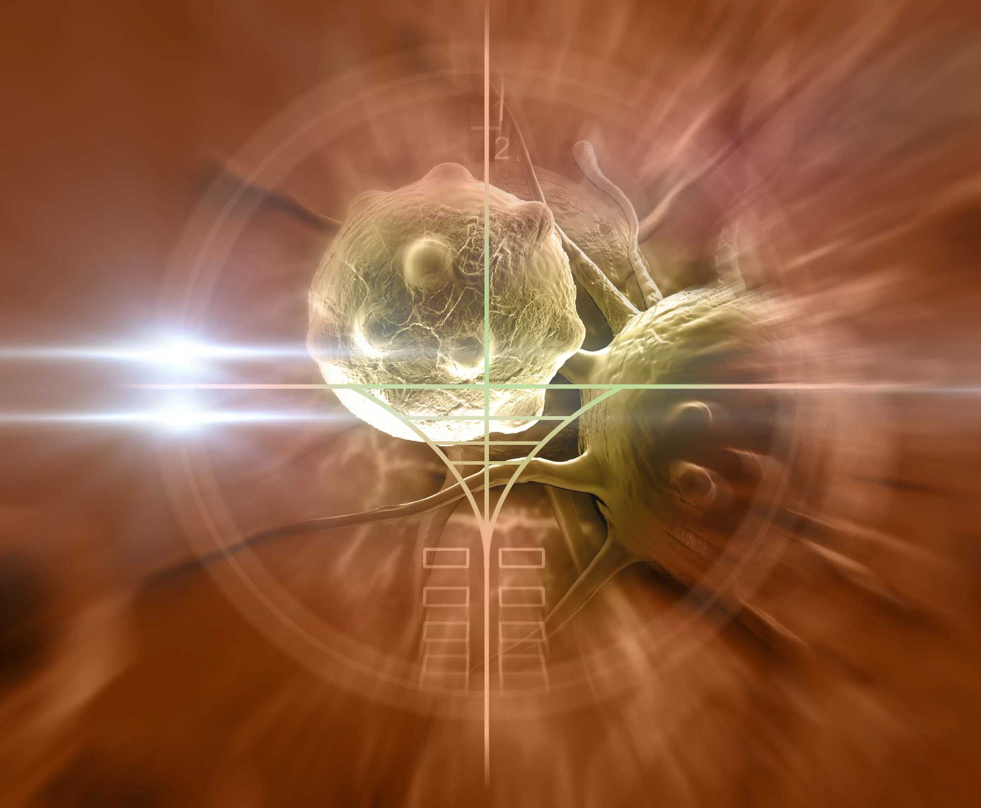 A new understanding of the way lactic acid impedes the body's defenses against tumors raises the prospect of new treatments
