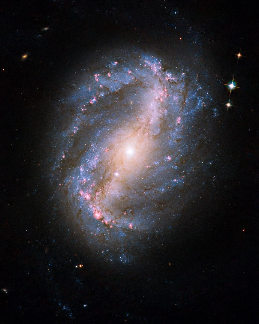 The barred spiral galaxy NGC 6217 was photographed on 13 June and 8 July 2009, as part of the initial testing and calibration of Hubble’s ACS. The galaxy lies up to 90 million light-years away in the north circumpolar constellation Ursa Major