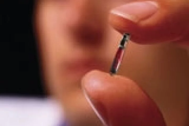 The VeriChip is thesize of a grain of rice