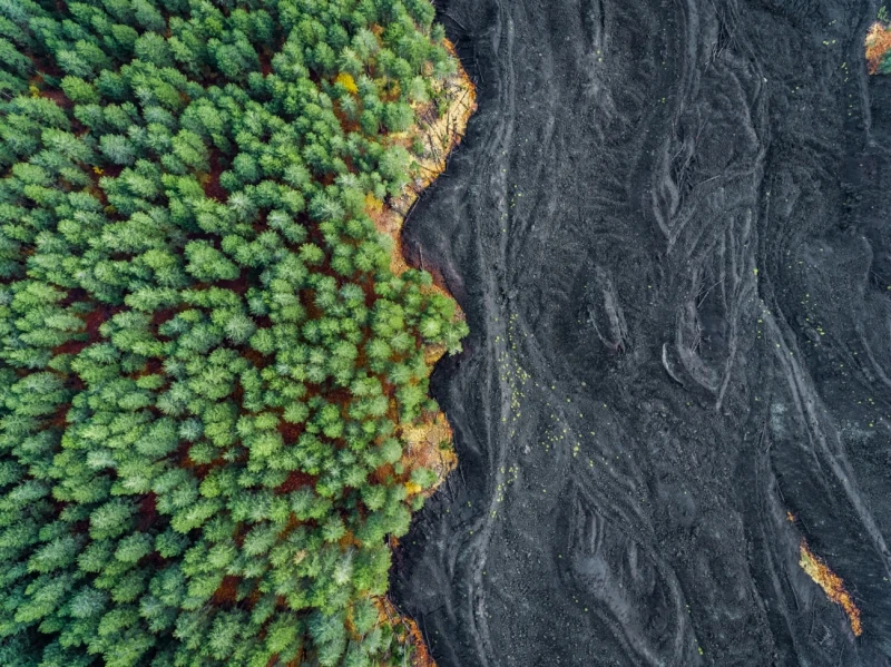 Life and Death: Commended in the Nature category