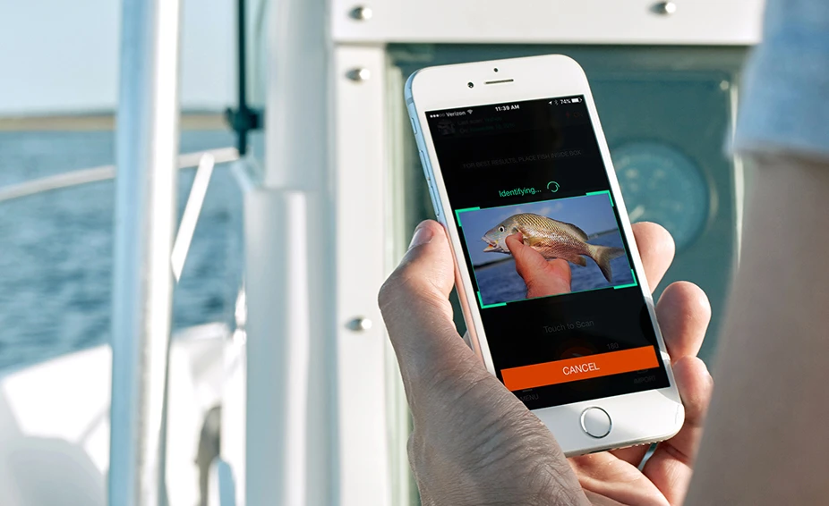 The creators are seeking funding to expand the area that FishVerify can operate in, ideally accessing laws and species from other US states and eventually around the world
