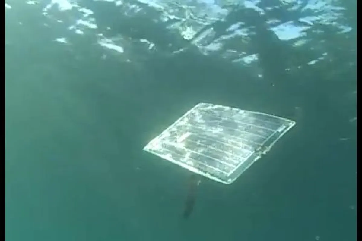 Scientists have created a solar-powered swimming underwater robot, inspired by the ocean sunfish