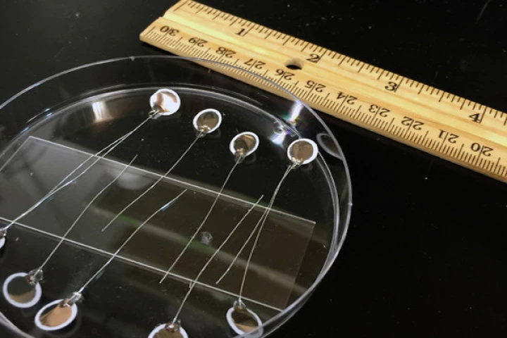 A prototype of the membrane, which could lead to more efficient and safer EV batteries