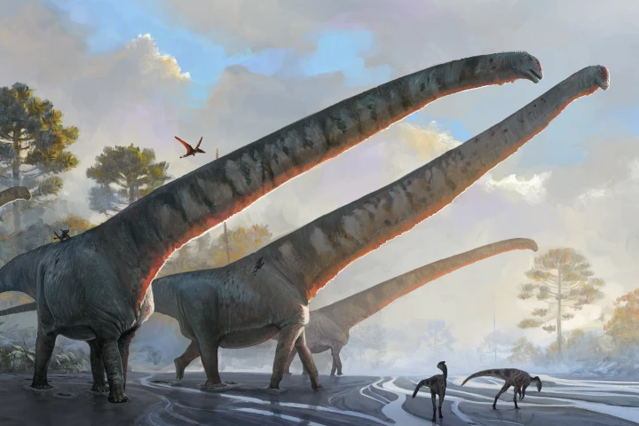 An artist's impression of Mamenchisaurus sinocanadorum, which a new study claims had the longest neck of any animal that ever lived