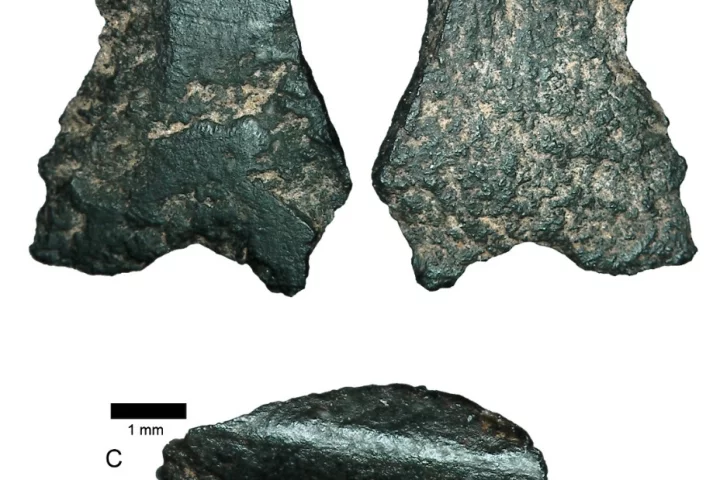 The world's oldest axe fragment, discovered in a remote region of Australia, is about the size of a thumbnail and dates back to 45,000-49,000 years ago