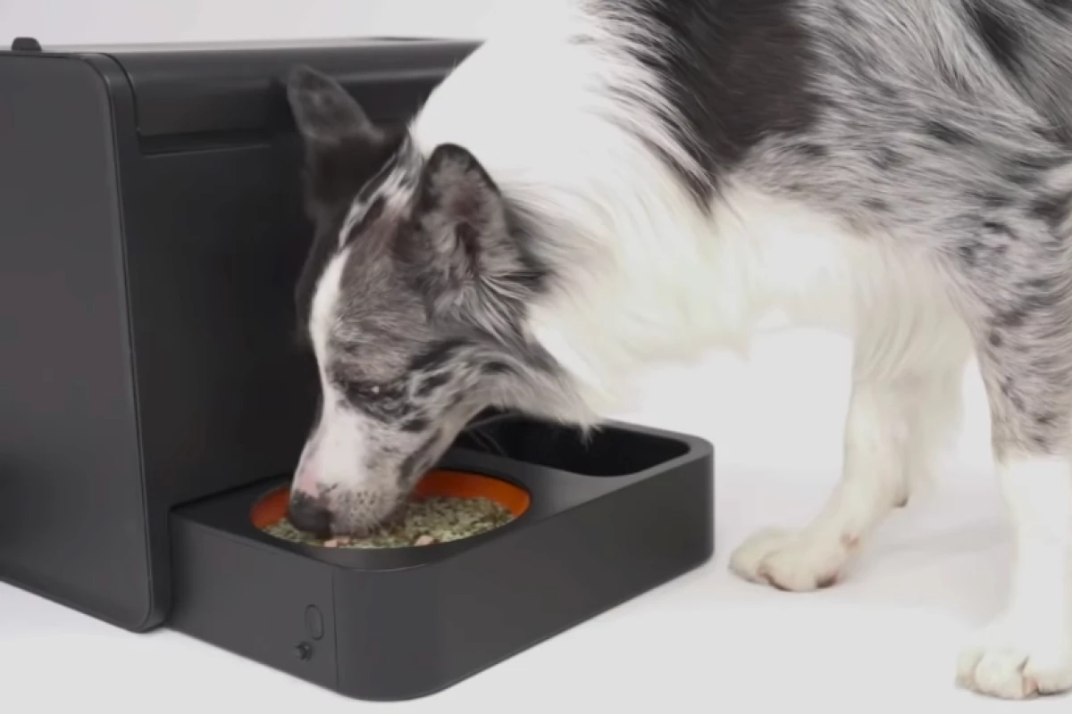 Kibus is currently on Kickstarter